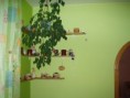 /album/fotogaleria-2-izb-byt-bizetova-ul-ov-66-m2-56-000-EUR/a3-jpg/